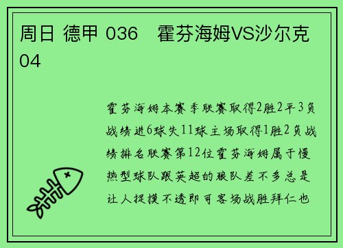周日 德甲 036   霍芬海姆VS沙尔克04